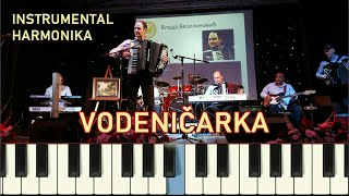 Vodeničarka  instrumental  harmonika  Vlada Veselinović [upl. by Cormick]