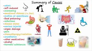 Antiemetics amp Antinausea Medications [upl. by Eleaffar]