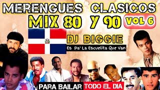 MERENGUE CLASICO MIX BAILABLE DE LOS 80 Y 90 VOL 6 DJ BIGGIE merengueclasico merenguemix [upl. by Niemad]