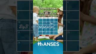 Cronograma de Anses con fechas de pago de asignaciones familiares del SUAF en octubre anses [upl. by Soisinoid584]