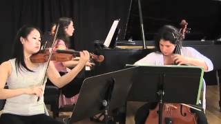 Piano Trio in A Minor  Passacaille Tres Large 3rd Movement  Maurice Ravel [upl. by Guilbert]