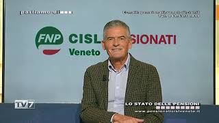 Parliamo di FNP CISL del 11112023  Lo stato delle pensioni [upl. by Cleopatre699]