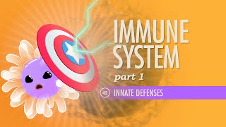 Immune System Part 1 Crash Course Anatomy amp Physiology 45 [upl. by Pincas]