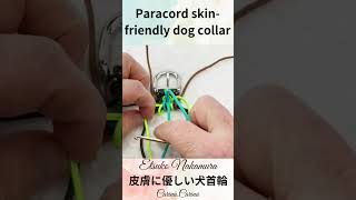 パラコードでマクラメ編み151 shorts diy パラコード犬首輪 皮膚に優しい犬首輪 dogcollar [upl. by Baalbeer]