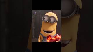 Minions are Dummies Minions 1 2 FUNNY movie new animatedmovie [upl. by Anelhtac]