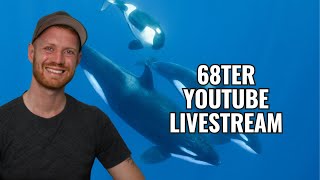 68ter Youtube Livestream Erste Orca Aufnahmen von Walhai Jagd Wölfe amp Manhunt Folge 2 [upl. by Dnomsaj]