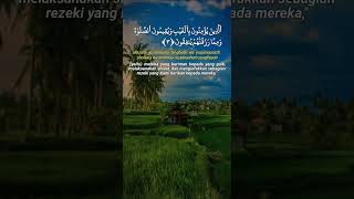 Qs Al Baqarah 15 shorts ngaji dzikir sholawat doa [upl. by Warring650]