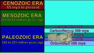 TABULATE amp RUGOSE CORALS DISTRIBUTION IN GEOLOGIC TIME [upl. by Grantley656]