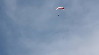 Paragliding accident full stall went wrong fall into canopy [upl. by Kassia]