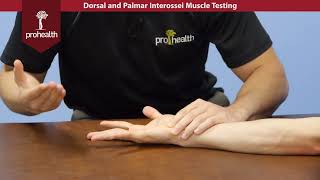 Dorsal Palmar Interossei Muslce Test Palp Dr Vizniak Muscle Manual [upl. by Yentnuoc]