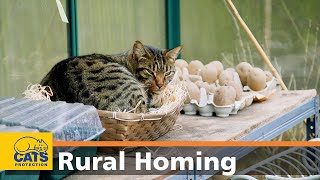 Rehoming an outdoor cat  FAQs  Cats Protection [upl. by Naejarual]