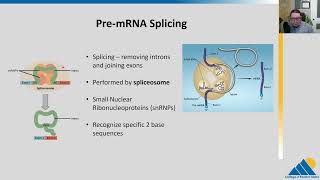 BIOL201 Ch154  RNA Processing in Eukaryotes [upl. by Asirap762]