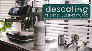 How to Descale the Breville Barista Pro plus Flush Cycle or quotBackflushingquot [upl. by Delano]