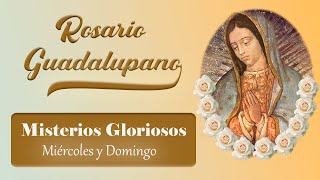 ROSARIO GUADALUPANO Misterios Gloriosos Del 28 de octubre al 12 de diciembre [upl. by Coleville]