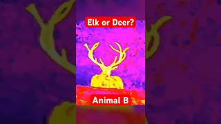 Can YOU Spot The Difference Elk vs Deer Pard Thermal civtac guns pewpewlife [upl. by Amlet]