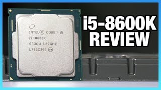 Intel i58600K Review amp 5GHz OC vs 8400 8700K amp More [upl. by Troy658]