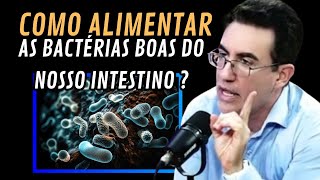 COMO ALIMENTAR AS BACTÉRIAS BOAS DO INTESTINO [upl. by Kataway]