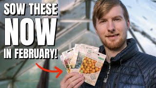 Vegetable Seeds YOU NEED To Sow In February Gardening For Beginners [upl. by Nick626]