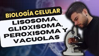 BIOLOGÍA CELULAR LISOSOMA PEROXISOMA GLIOXISOMA y VACUOLA [upl. by Esenej146]