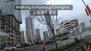 Walking From Shanghai Expo Culture Park to Qiantan Taikoo Li in Pudong New District  4K  上海｜浦东新区 [upl. by Nora]