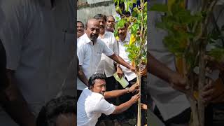 அமைச்சர் மாசுப்பிரமணியன் கிண்டி லயன்ஸ் கிளப் பள்ளியில் மரக்கன்று நட்டார் [upl. by Toolis]