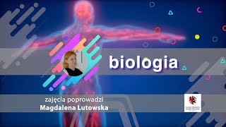 Biologia  LO  matura Obieg węgla i azotu w przyrodzie [upl. by Chancellor]