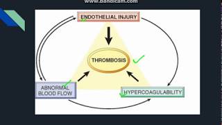 Thrombosis [upl. by Vardon]