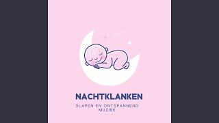 Instrumentale Muziek voor Baby [upl. by Notneuq61]