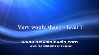 Very wooly sheep  level 1 [upl. by Ilyak]