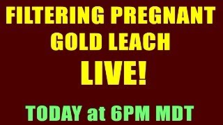 FILTERING GOLD LEACH LIVE making it look easy [upl. by Boser]