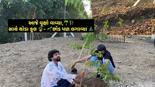 જન્મદિવસ પર થોડા વૃક્ષો વાવ્યા🪴🌲 Jay Sakariya  Horse Farm  Tree  Plant  Plantation  Birthday [upl. by Hewart]