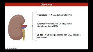 Antihipertensivos I Diuréticos [upl. by Chafee]