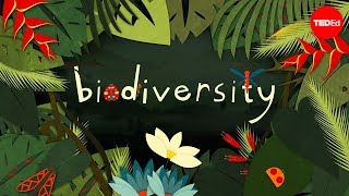 Why is biodiversity so important  Kim Preshoff [upl. by Halda]