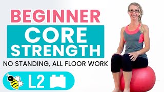 BEGINNER CORE  15 Minute STABILITY BALL Workout for BEGINNERS [upl. by Anadroj382]