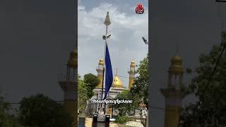 Baba Janum  Noha  Ali Shanawar hayesakina sakina bibi bibisakina yaabbas shorts ytshorts [upl. by Latashia83]