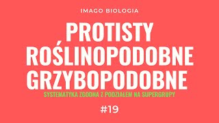 Protisty roślinopodobne i grzybopodobne wraz z ich systematyką [upl. by Elrebmik410]