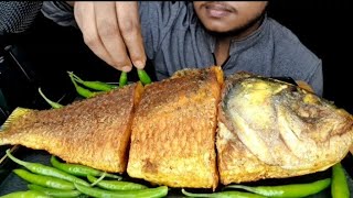 Spicy Big Whole Katla Fish Fry  Lot Of Chillis Eating Show [upl. by Phylys]