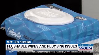 Flushable wipes and plumbing issues [upl. by Haslett270]