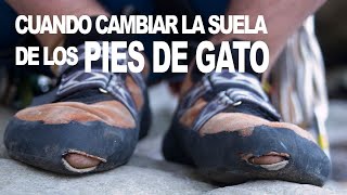 Cambiar la suela de los pies de gato ¿Cuando [upl. by Toffey340]