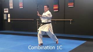 Shitoryu Shukokai Karate Combinations 1 5C [upl. by Netaf]