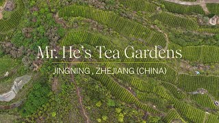 Mr Hes Tea Gardens  A Birds Eye View [upl. by Clayson826]