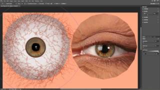 CrazyTalk 8 Tutorial  Enhancing Photo Fitting Eyes [upl. by Narag]