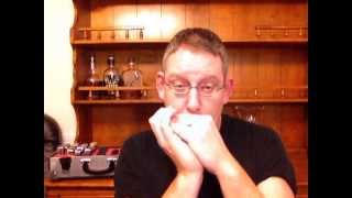 Harmonica Lessons for the MiddleAged Part 4 Ruts [upl. by Tonnie528]