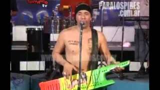 DAMAS GRATIS EN VIVO EN FANTASTICO TV 2009 [upl. by Maje432]