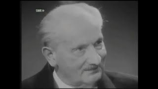 Martin Heidegger entrevista con monje budista Subtitulado [upl. by Erdnua]