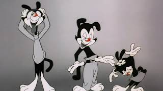 Animaniacs Them Song 4K 60fps [upl. by Nylsaj]