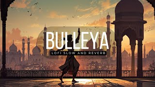 Bulleya  Slow amp Reverb Lofi Song  Sultan  Salman Khan  Anushka  Vishal amp Shekhar  Irshad Kamil [upl. by Ainet]