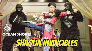 Wu Tang Collection  Shaolin Invincibles [upl. by Emera]