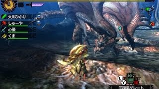 【MH4G実況】 友達とモンハン4G vsリオレウス Part50 [upl. by Mccourt]