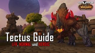 Tectus Guide LFR  NHC  HEROIC  Hochfels Raid Guide [upl. by Dempster]